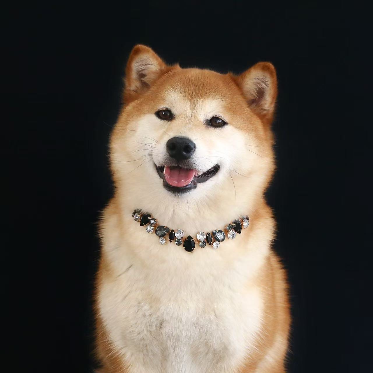Luxury Crystal Pet Necklace | Rhinestone Dog & Cat Collar