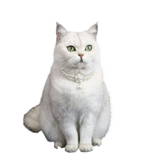 Pet Pearl Pendant Necklace Collar Accessories