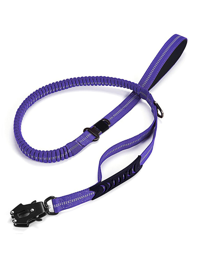 Car Pet Fashion Leash Frog Buckle