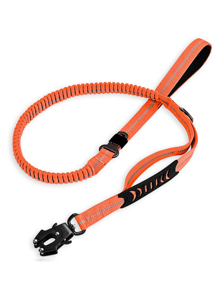 Car Pet Fashion Leash Frog Buckle
