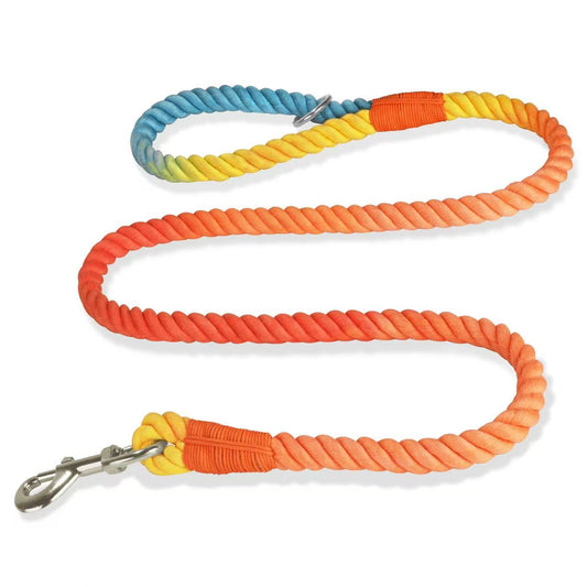Heavy Duty Cotton P Slip Leash – Strong Rope Collar & Walking Lead for Big Dogs
