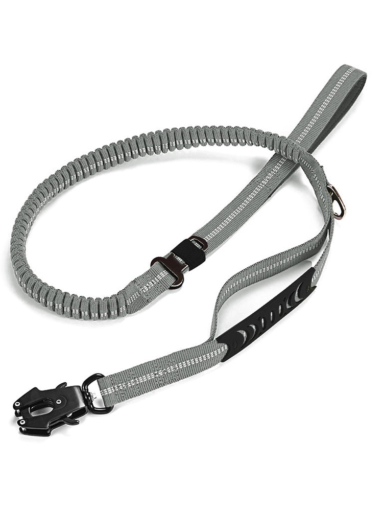 Car Pet Fashion Leash Frog Buckle