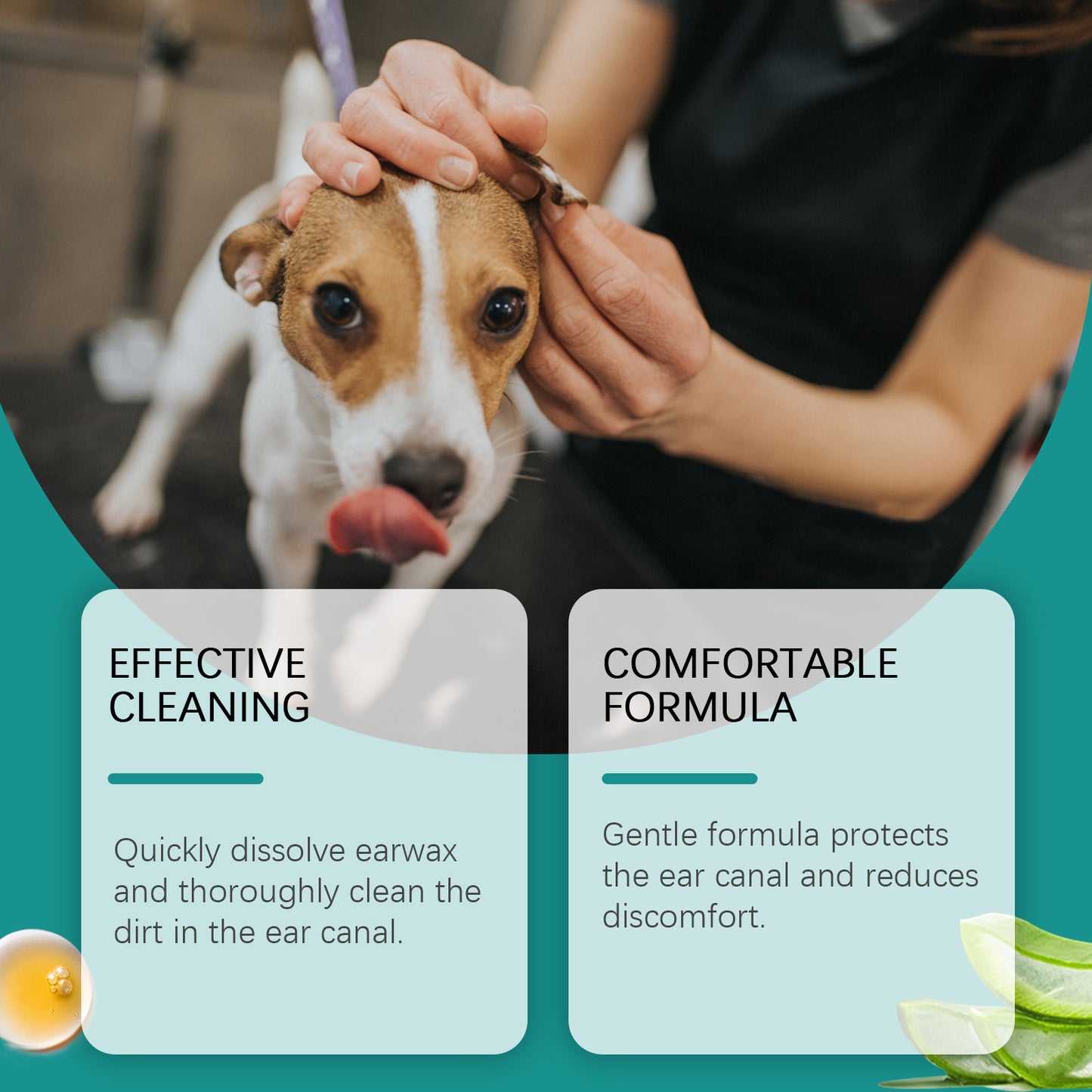 Pet Ear Cleaner