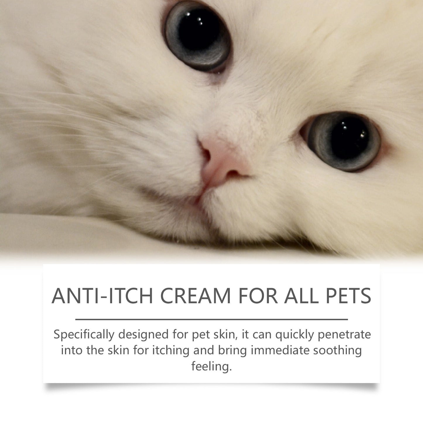 Pet Anti-Itch Cream