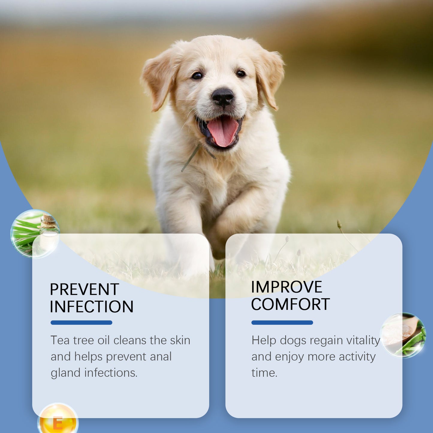 Dog Anal Gland Odor Removal Spray