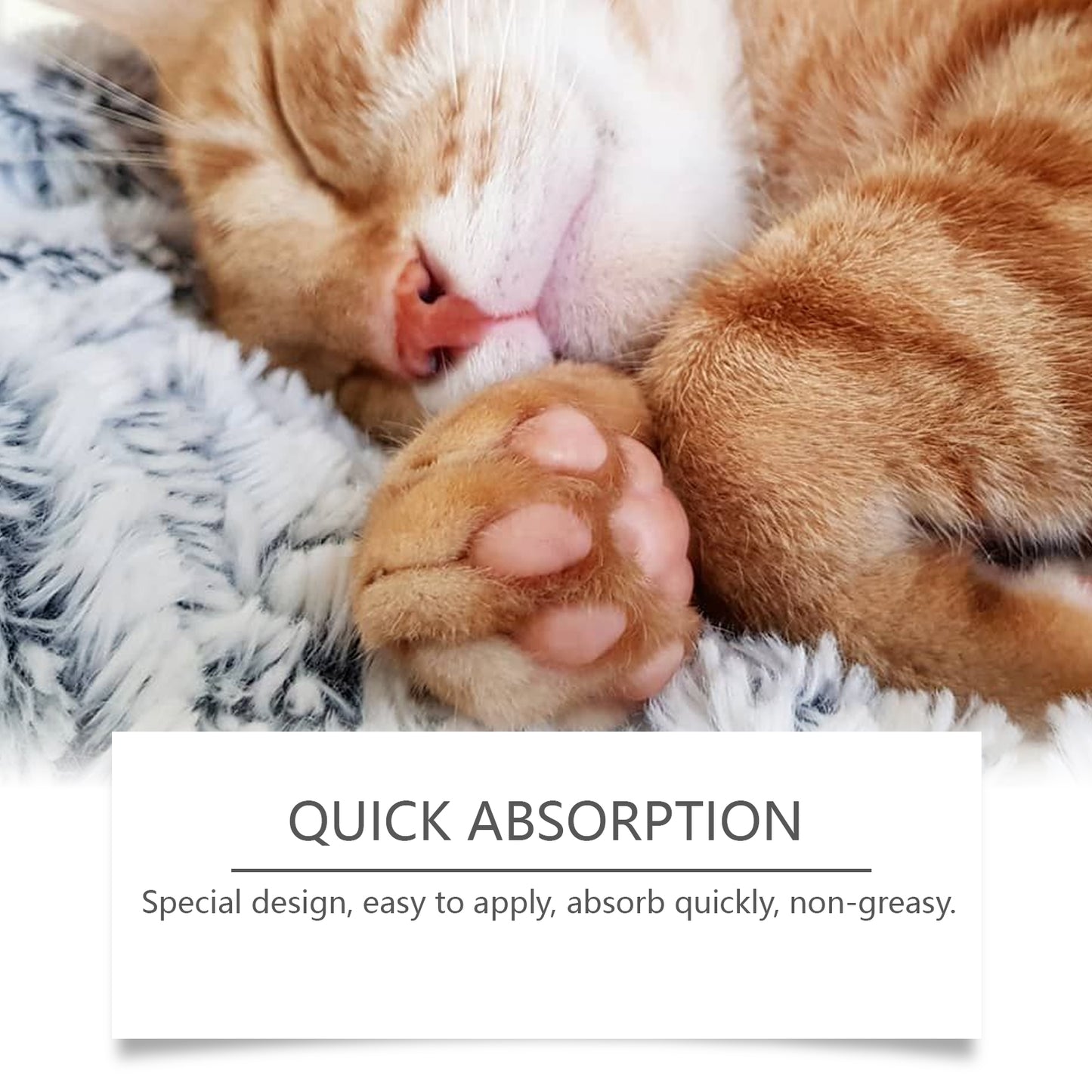 Pet Moisturizing Paw Balm