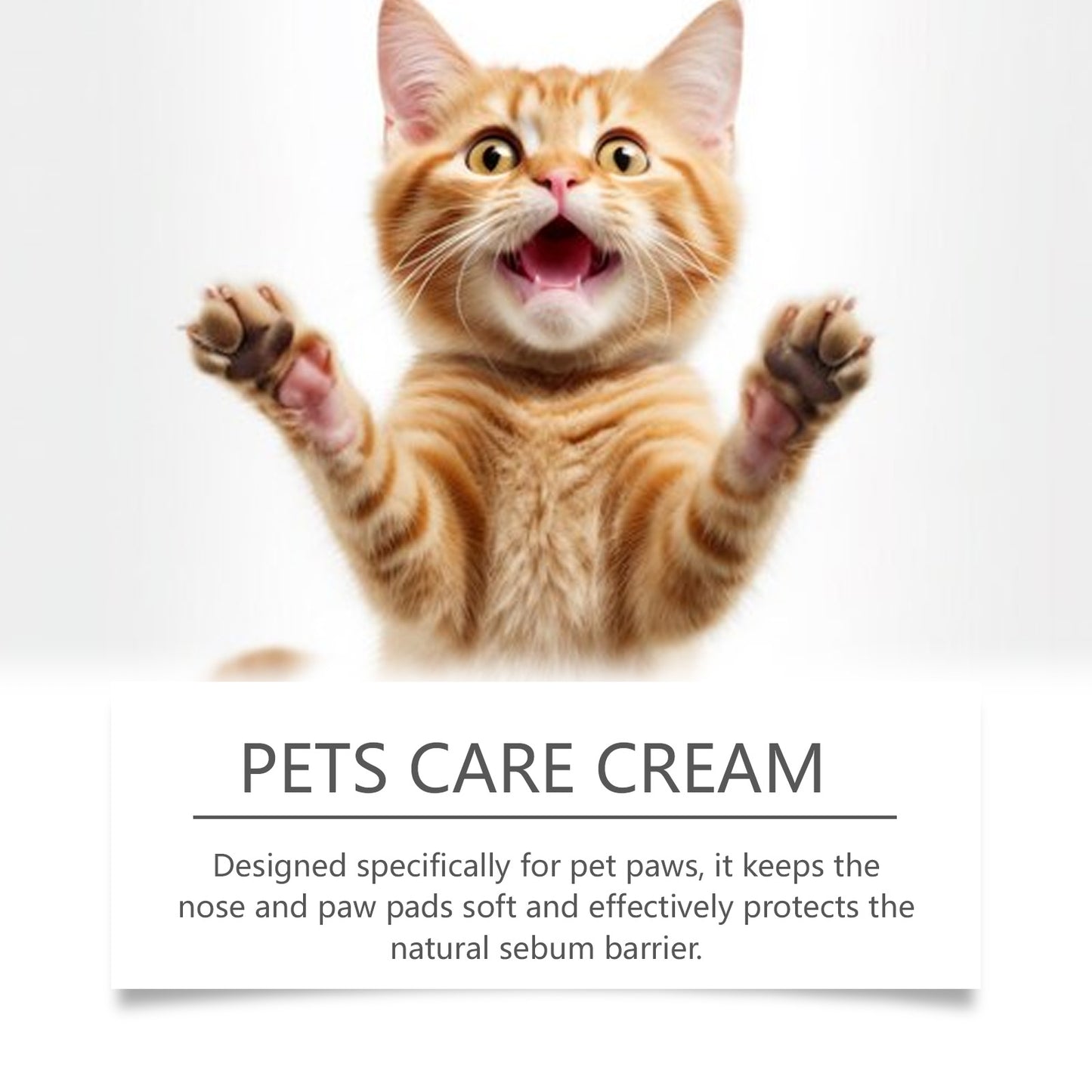 Pet Paw Ointment Stick