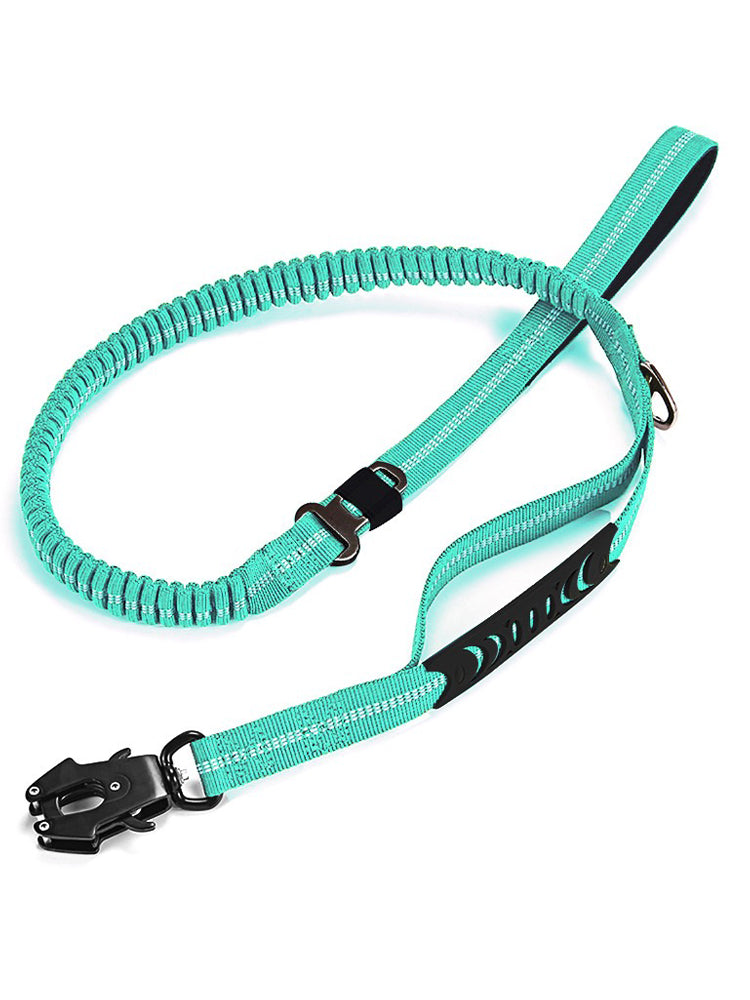 Car Pet Fashion Leash Frog Buckle