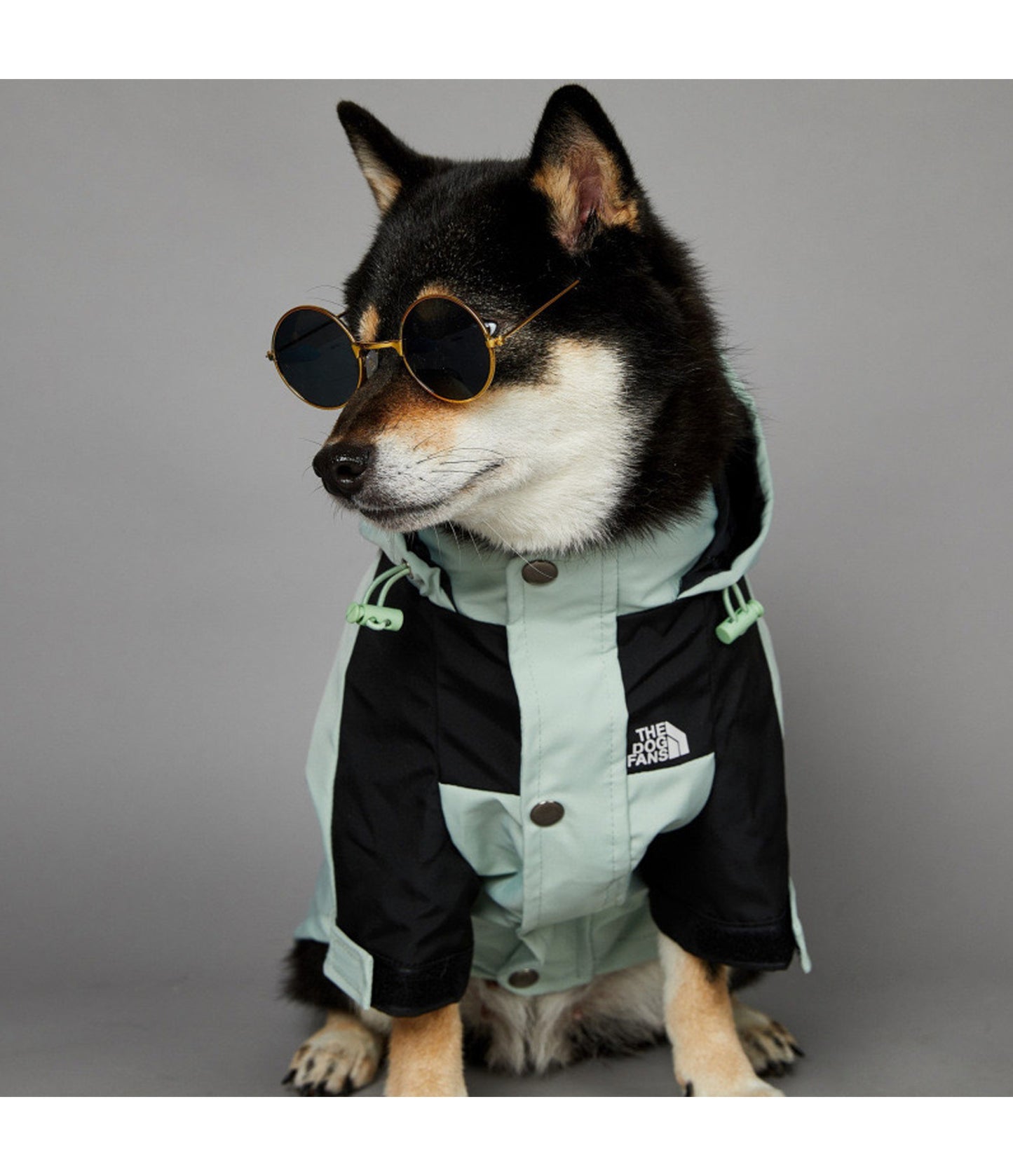 Pet Windproof Jacket