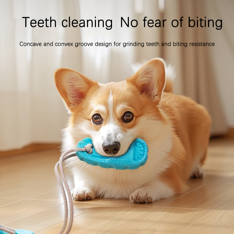 Dog Suction Cup Slippers, Chew-Resistant Food Toy Ball – Fun, Teeth Grinding, and Energy Consumption